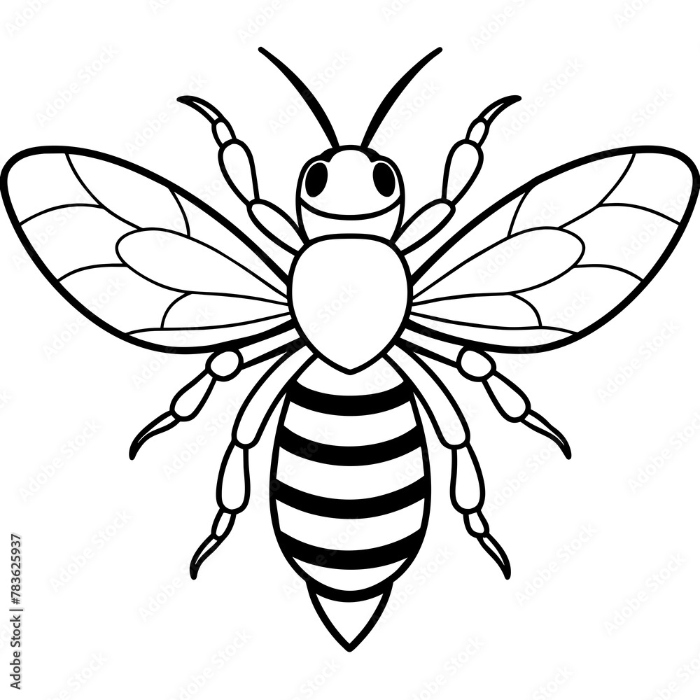 Fototapeta premium Asian giant hornet bee vector illustration. 