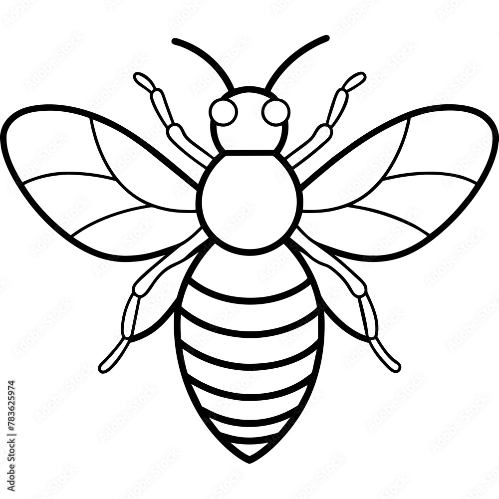 Asian giant hornet bee vector illustration.
Asian giant hornet bee vector illustration.