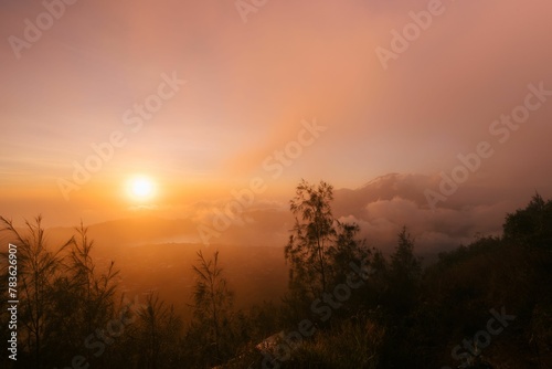 Beautiful landscape of forests on a foggy sunrise in Bali