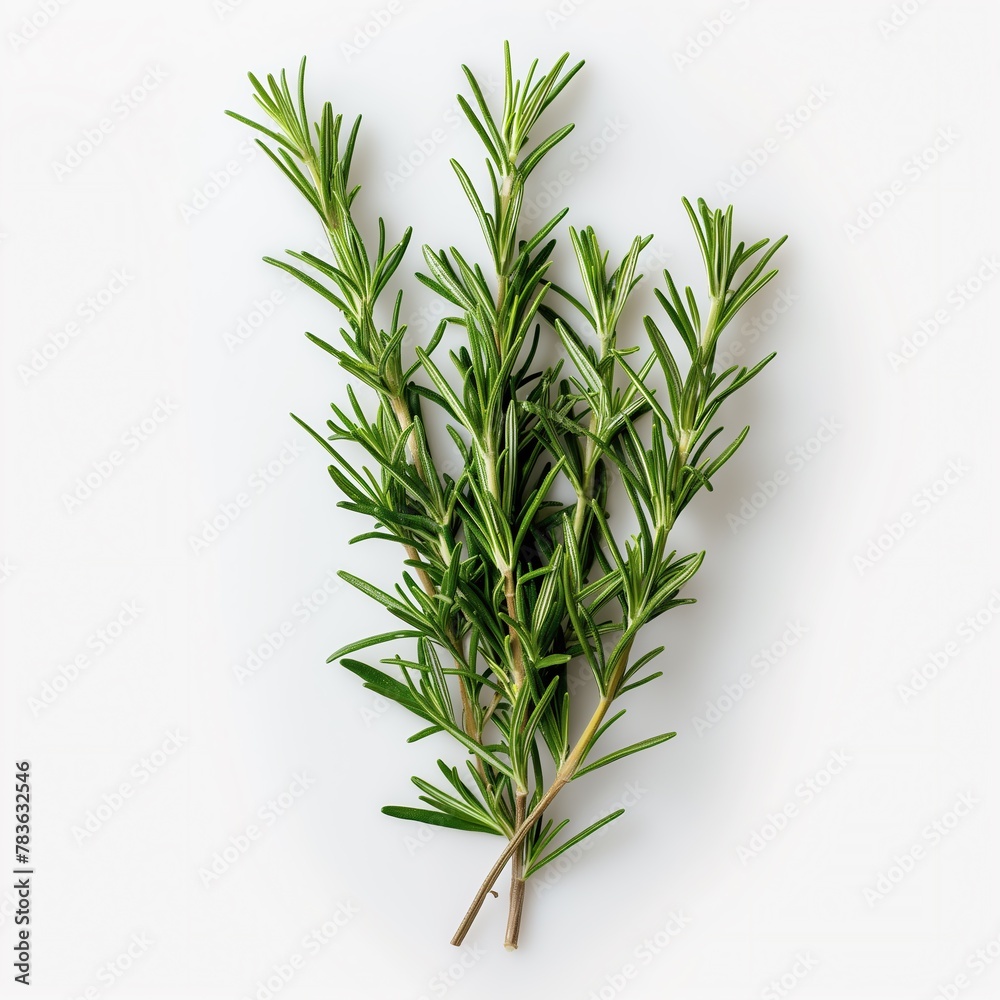 AI-generated illustration of a rosemary plant on a white surface