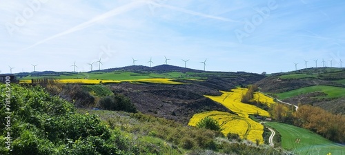 Panoramic view of the countryside with many green and yellow fields and rocks
