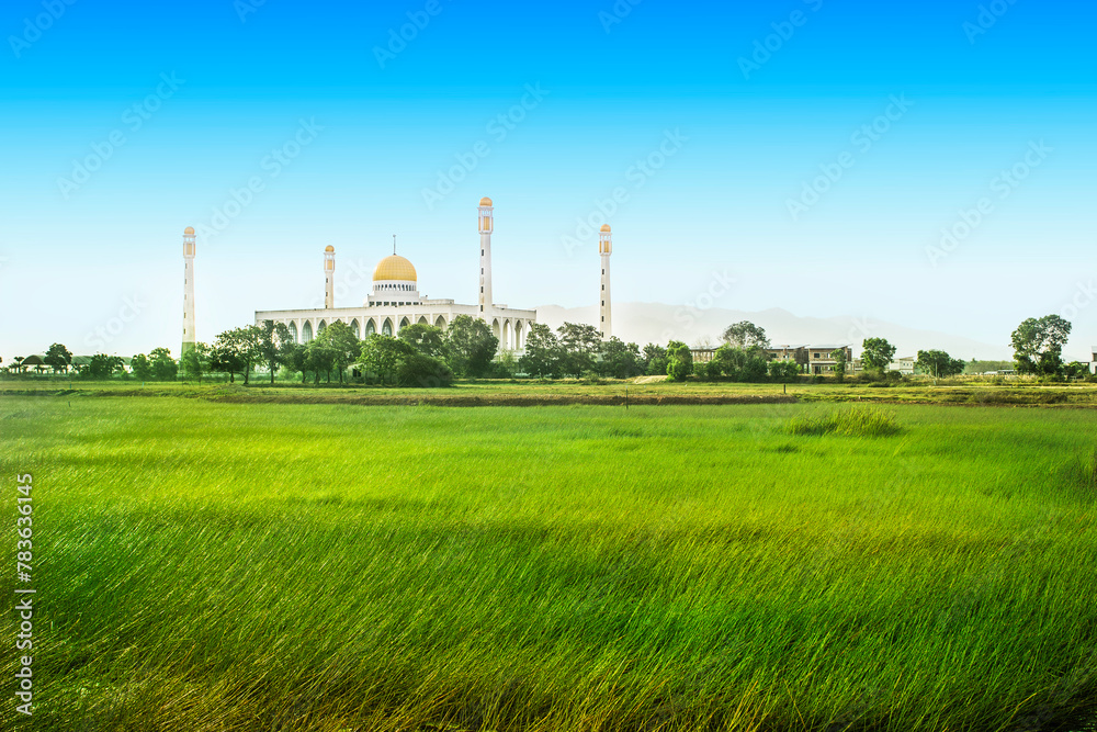 Songkhla Central Mosque and the field of rice