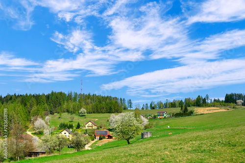 View of the surrounding countryside with hills, houses, meadows and a forest under a blue sky and mountain Malnik in summer spring day, Muszyna, Beskid Sadecki, Poland