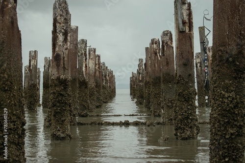 a ruined wharf sitting in the water