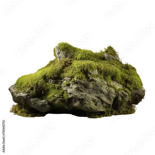 A large rock covered in moss sits on a white background