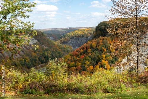 Landscape view of colorful trees in Watkins Glen in autumn season photo