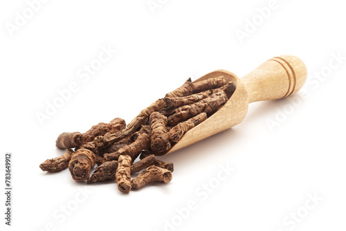 Front view of a wooden scoop filled with Organic Hellebore or Kutki (Picrorhiza kurroa) roots. Isolated on a white background. photo