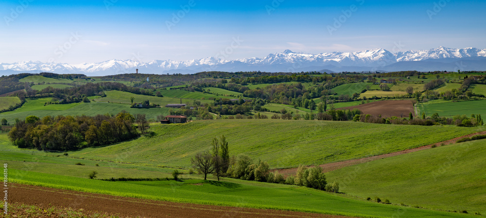 Obraz premium Countryside landscape in the Gers department in France with the Pyrenees mountains in the background