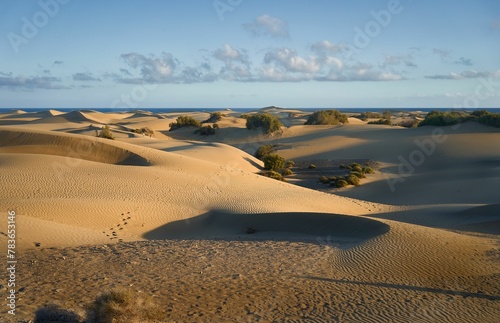 Dunes of Maspalomas on a sunny day with a cloudy sky in the background  Canary Islands  Spain