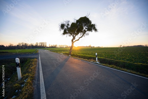 Beautiful shot of a road in Sauerland mountains at sunset