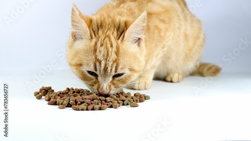 Fototapeta Naklejka Na Ścianę i Meble -  Closeup shot of the brown cat eating cat food on a white background