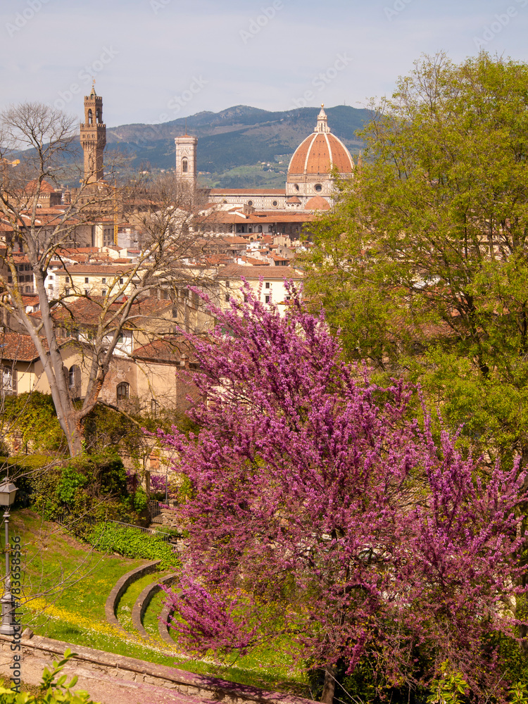 Naklejka premium Italia, Toscana, Firenze, il giardino della Villa Bardini e panorama su Firenze.