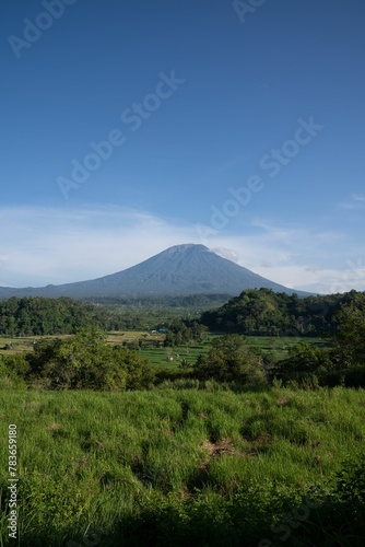 Vertical shot of green fields with the background of the mountain Agung in Bali