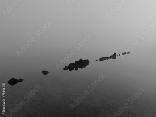 Closeup shot of black stones in the water.