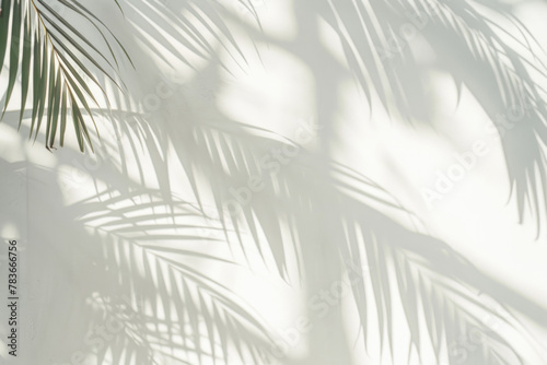 White wall with tropical palm leaf shadow. Beautiful abstract background concept banner for summer vacation