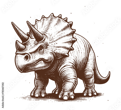 Triceratop Hand drawn illustration vector graphic