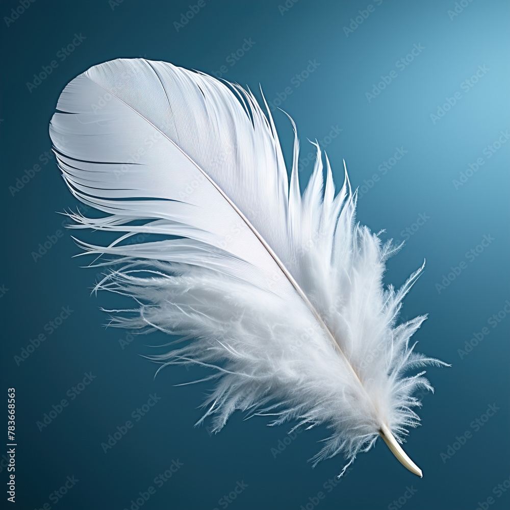 A white feather on a blue background. Isolated cutout. A white feather on a blue background. Isolated cutout.