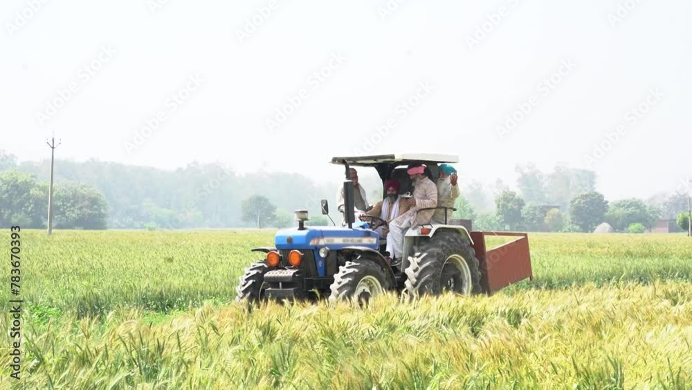 Village india, Indian farmer driving tractor in agriculture wheat field in sunny day, Rural scene, Punjab farmers. Fertile farm land.