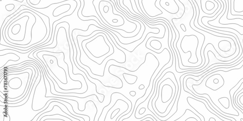 Topography line map. Vector seamless background subtle line pattern. Abstract Luxury black line art. White background with topographic wavy pattern design. Vector contour topographic map. photo