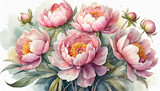 Watercolor painting of pink flowers. Bouquet of peonies. For greeting card or poster. Hand drawn art