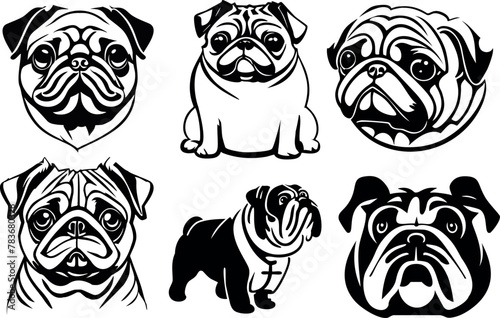 Bulldog bundle