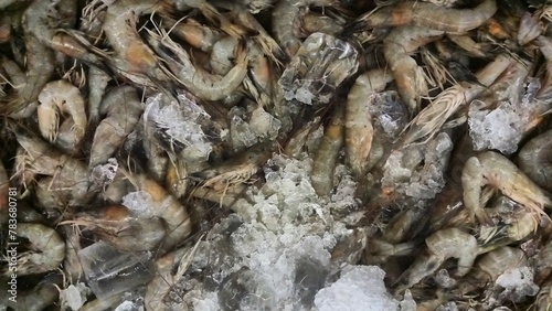 Raw seafood prawn with ice, selling in modern market, in Jakarta Indonesia  (ID: 783680781)