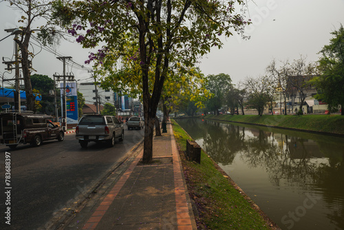 Canal in Chaingmai city (ID: 783688397)