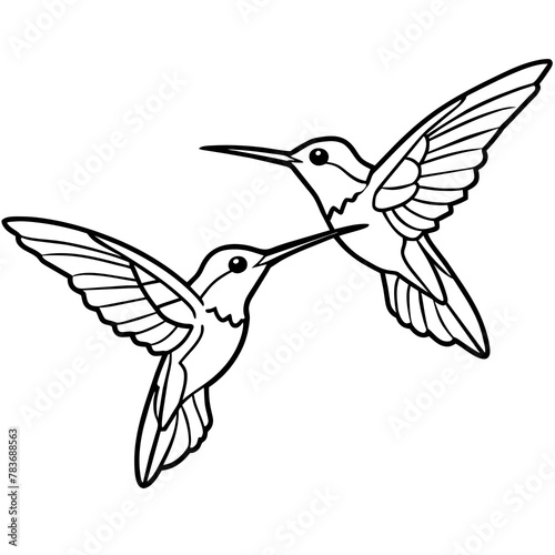two hummingbird flying seamlessly - Vector - Vector art - Vector illustration - Vector design - Latest Vector - Ultimate Vector - Premium Vector - Vector pro