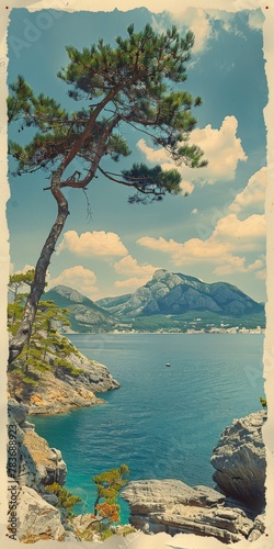 Tree painting on rocky shore