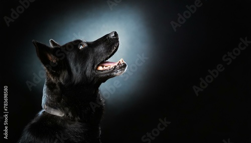 black dog profile portrait heading up, howling at night, isolated on a black background with copyspace area