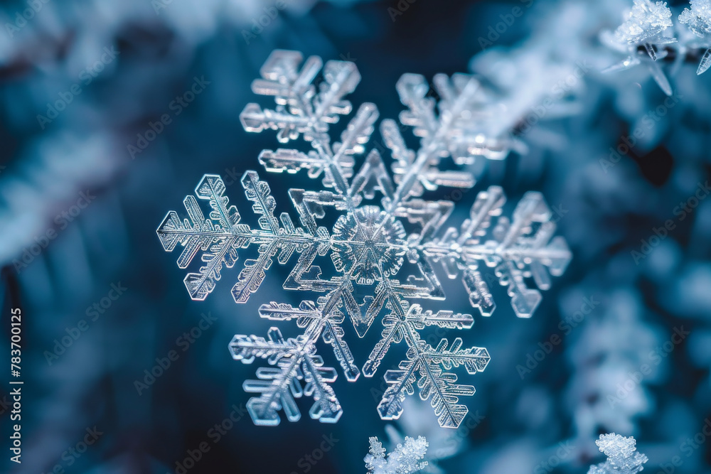 Exquisite Snowflake Macro: Winter's Delicate Crystal Beauty