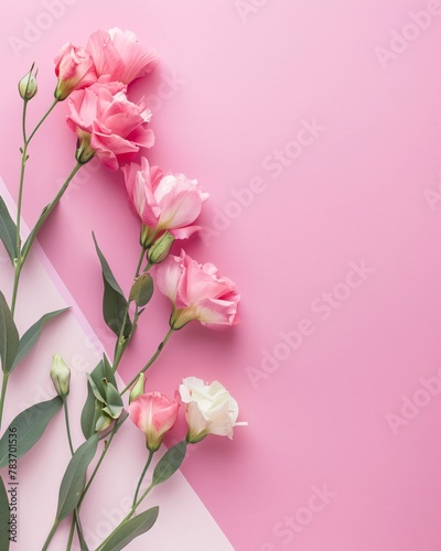 top view of pink flowers on pink table
