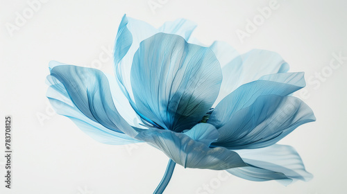 Transparent aery blue flower on white background. Aesthetic concept. Delicate watercolour. Generative AI photo
