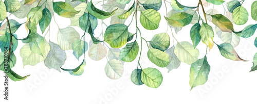 Long seamless banner with hanging leaves. Watercolor hand painted realistic botany header design (ID: 783710964)