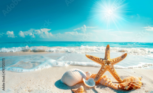 Serene Beachscape With Starfish and Shells on Sunny Day