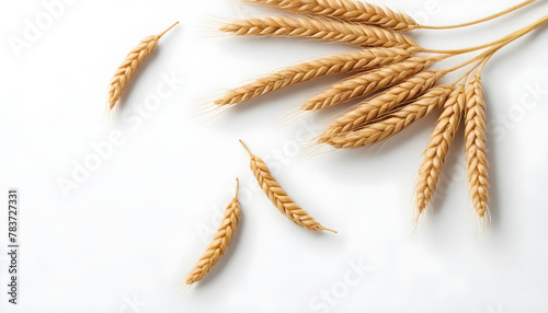 Wheat on white background 3
