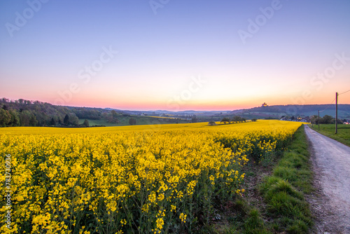 Landscape at sunrise. Beautiful morning landscape with fresh yellow rapeseed fields in spring. Small castle in the yellow fields on a hill. Historic Ronneburg Castle  Ronneburg  Hesse  Germany