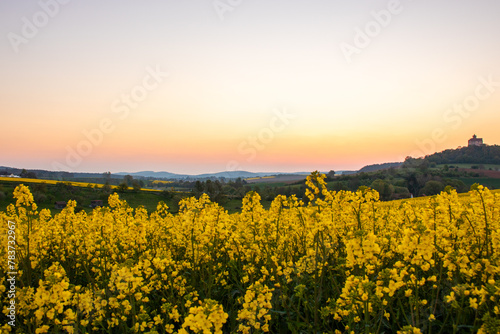 Landscape at sunrise. Beautiful morning landscape with fresh yellow rapeseed fields in spring. Small castle in the yellow fields on a hill. Historic Ronneburg Castle  Ronneburg  Hesse  Germany