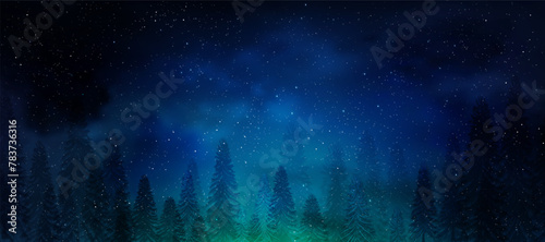 Christmas Background,Winter Night sky dark blue with starry,snowy in woodland landscape with firs,coniferous forest pine and falling snow,Vector Banner for Xmas,New year holidays 2025 greeting card photo