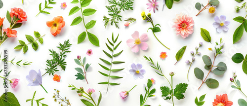 The beautiful spring season features various blooming flowers and scattered green leaves arranged neatly on a white background created with Generative AI Technology
