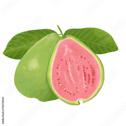 Hand drawn guava illustration photo
