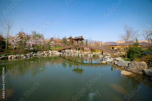 Lake with a wooden bridge and a gazebo for relaxation. Beautiful spring landscape in the Japanese garden of a public park.