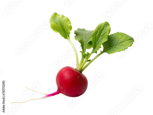 Fresh red beet png isolated on transparent background