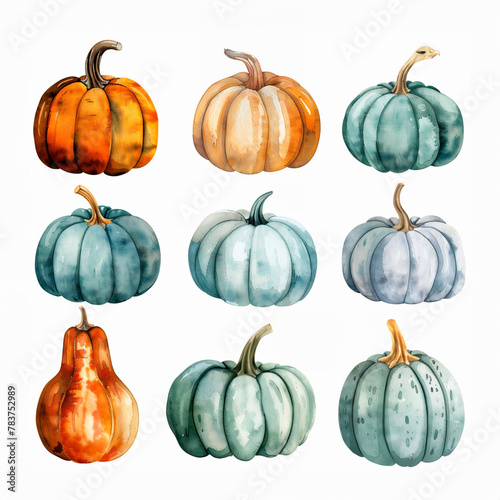 Watercolor Pumpkin Clipart set. Fall harvest illustration isolated on a white background