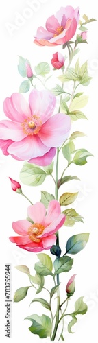 A watercolor painting of pink roses with buds and green leaves on a white background.