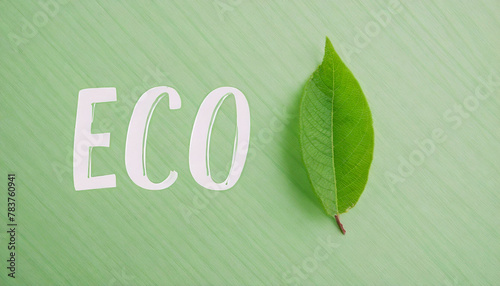 Text ECO in sustainable development style with leaf and green, structural background © Wojciech