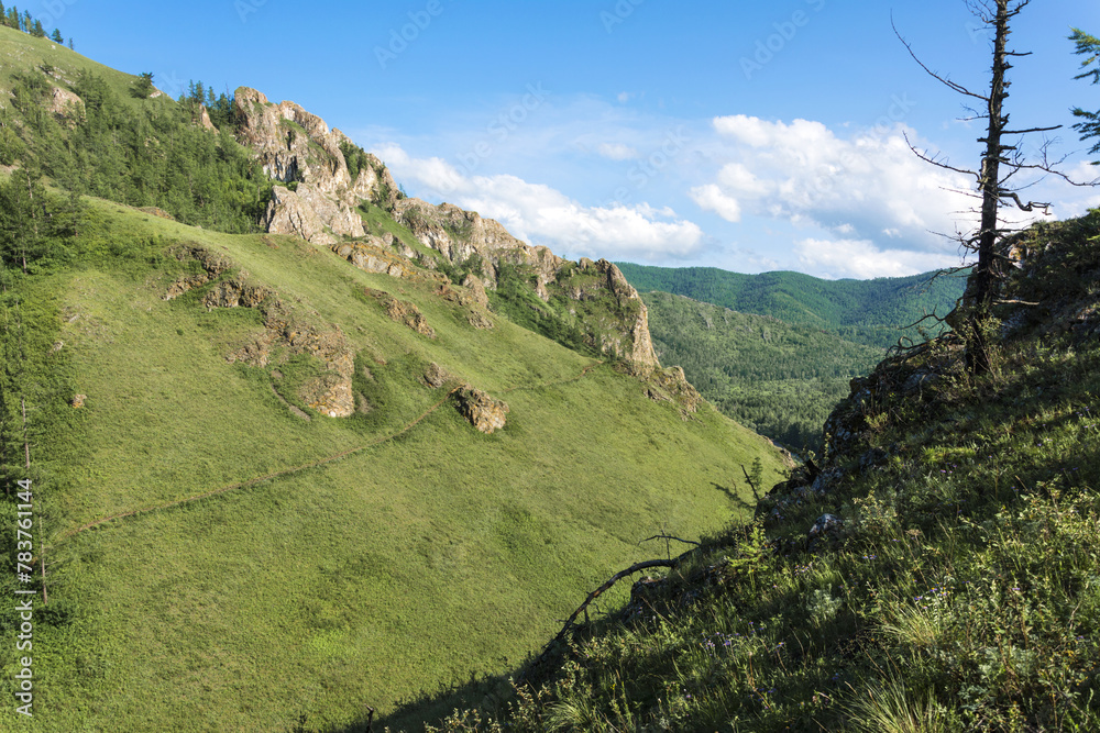 Naklejka premium A path among the forested hills on a sunny day