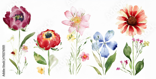 Summer Wild Flowers in Brush Style Watercolor © Nyayur