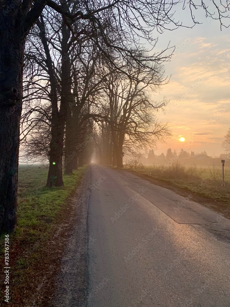 Fototapeta premium sunset on the road