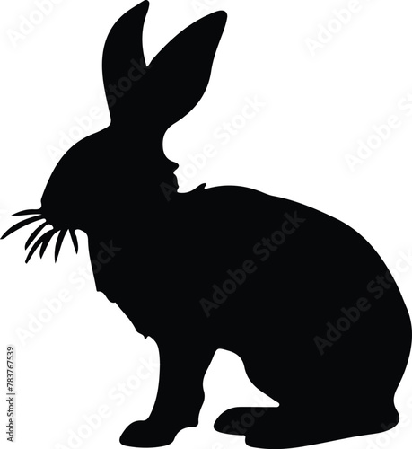 lagomorph silhouette photo